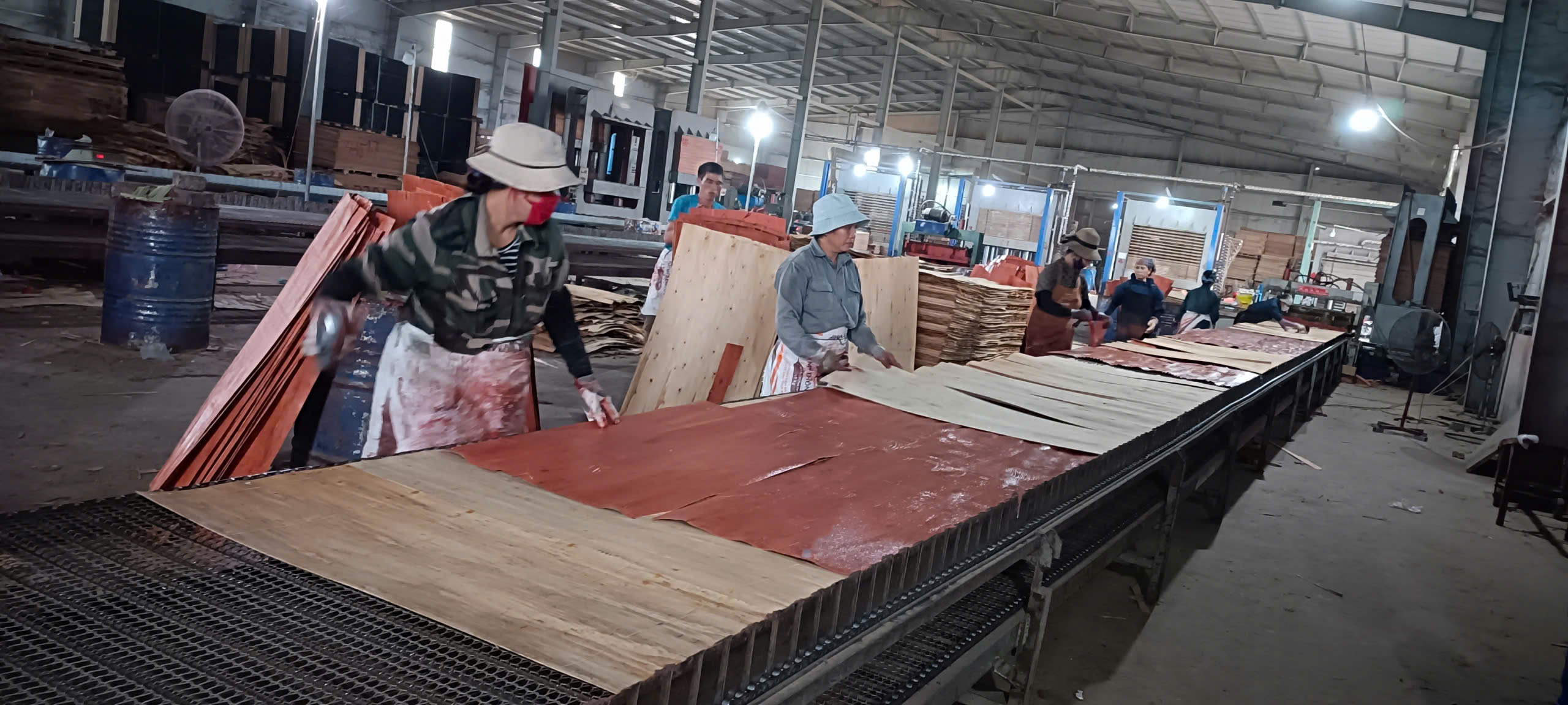 FILM FACED PLYWOOD